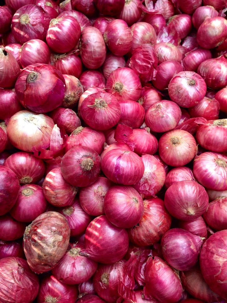 Pupuk Buah