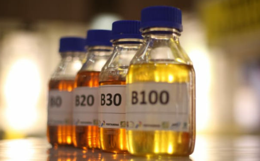 minyak biodiesel