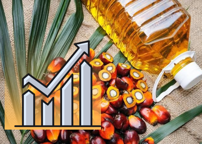 Penyebab Naik Turunnya Harga CPO Sawit